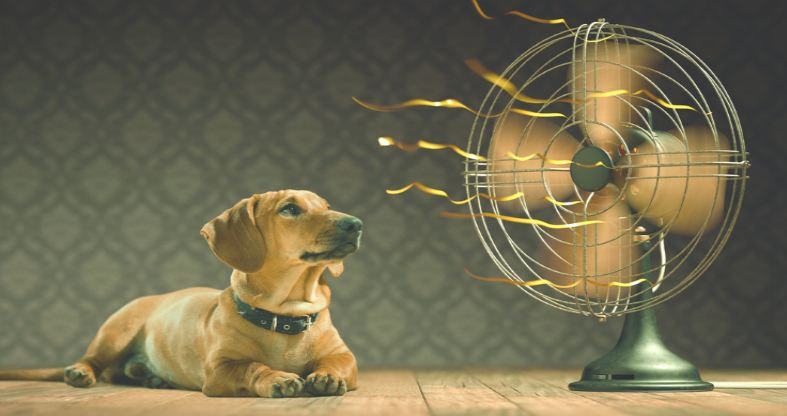 best cooling fans for 2019