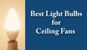 Best Light Bulbs for Ceiling Fans