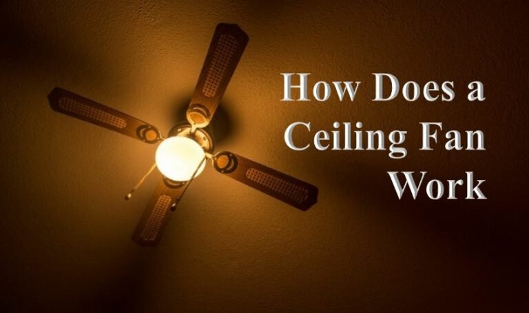 How Does a Ceiling Fan Work explained