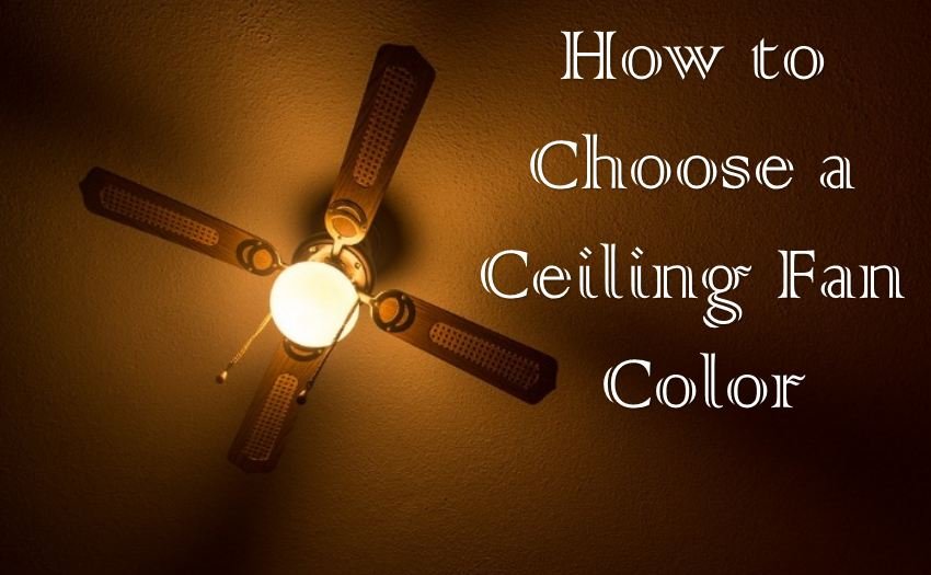 How to choose a ceiling fan color